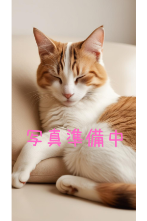 美波あお